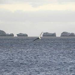 Isle of Wight needles