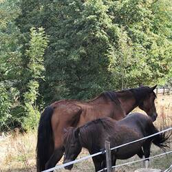 Unterwegs zum Campingplatz