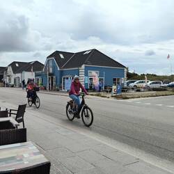 Lots of cyclists