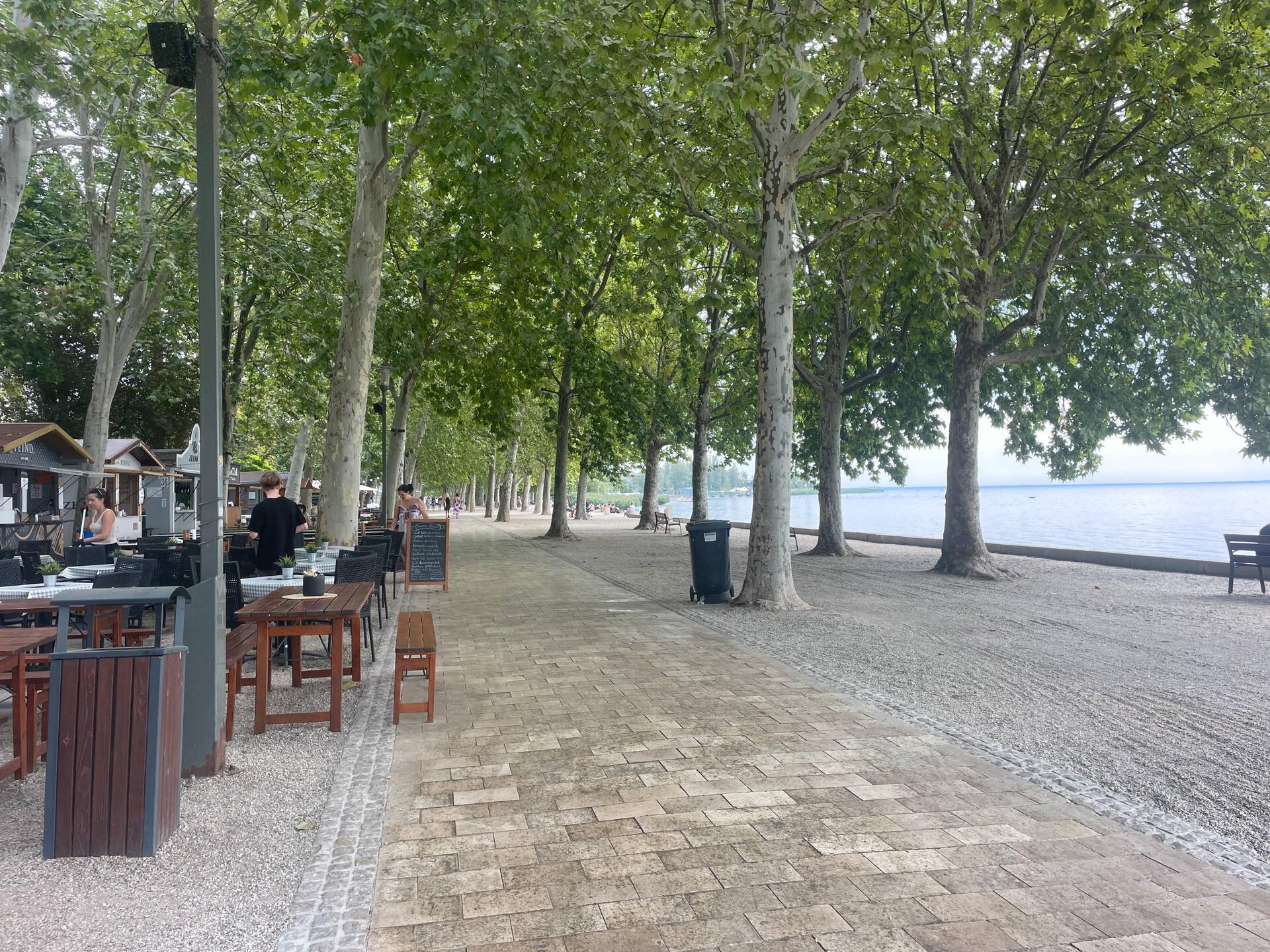 Tree lined promenade with wine stands