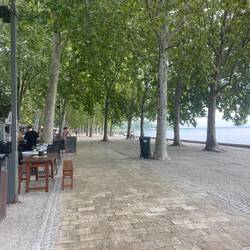 Tree lined promenade with wine stands