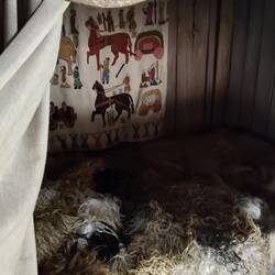 Warm bed