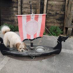 Thirsty work, this sightseeing