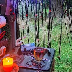 nice evening....❤️