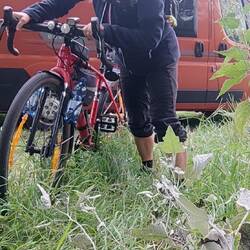 der Radius wird erweitert