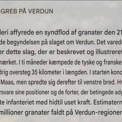 Fakta - oversat af Google Lens