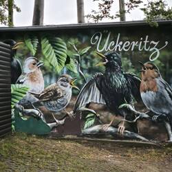 Wandmalerei am Campingplatz Ückeritz