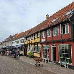 Ribe
