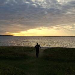 Hvalpsund