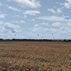 What are all those kites?