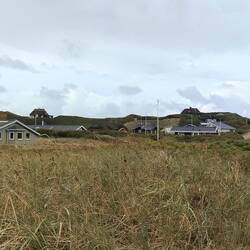 Houses nestled in the dunes