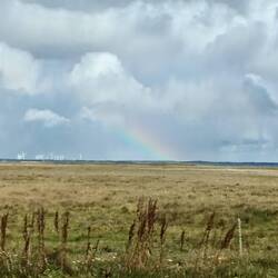 Rainbow and windmills