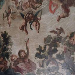 Elysium Closet Ceiling