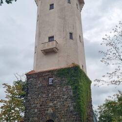 Diana Turm