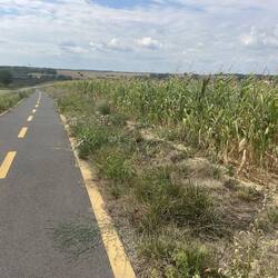 One of many very nice cycleways