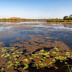 Lake Kununurra