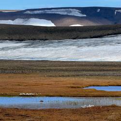 einsame Landschaft mit Wollgras