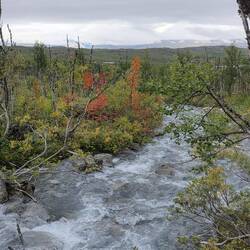 Die ersten Herbstfarben beginnen im Norden zu leuchten