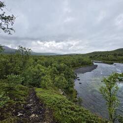Durch den Abisko läuft der 430 km lange Wanderweg Kungsleden