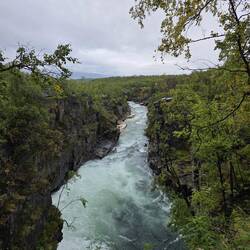 Eine kleine Wanderung durch dieses großartiges Naturschutzgebiet ist ein Muss