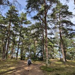 Unterwegs zum Strand