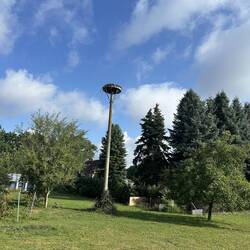 Storchennest im Garten