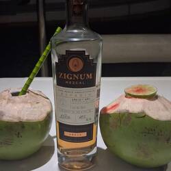 Was Mezcal ist und wie man ihn RICHTIG genießt, erklärte Rodrigo uns SEHR differenziert