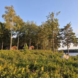 Abends am See