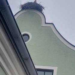 Hotel sogar mit Storch