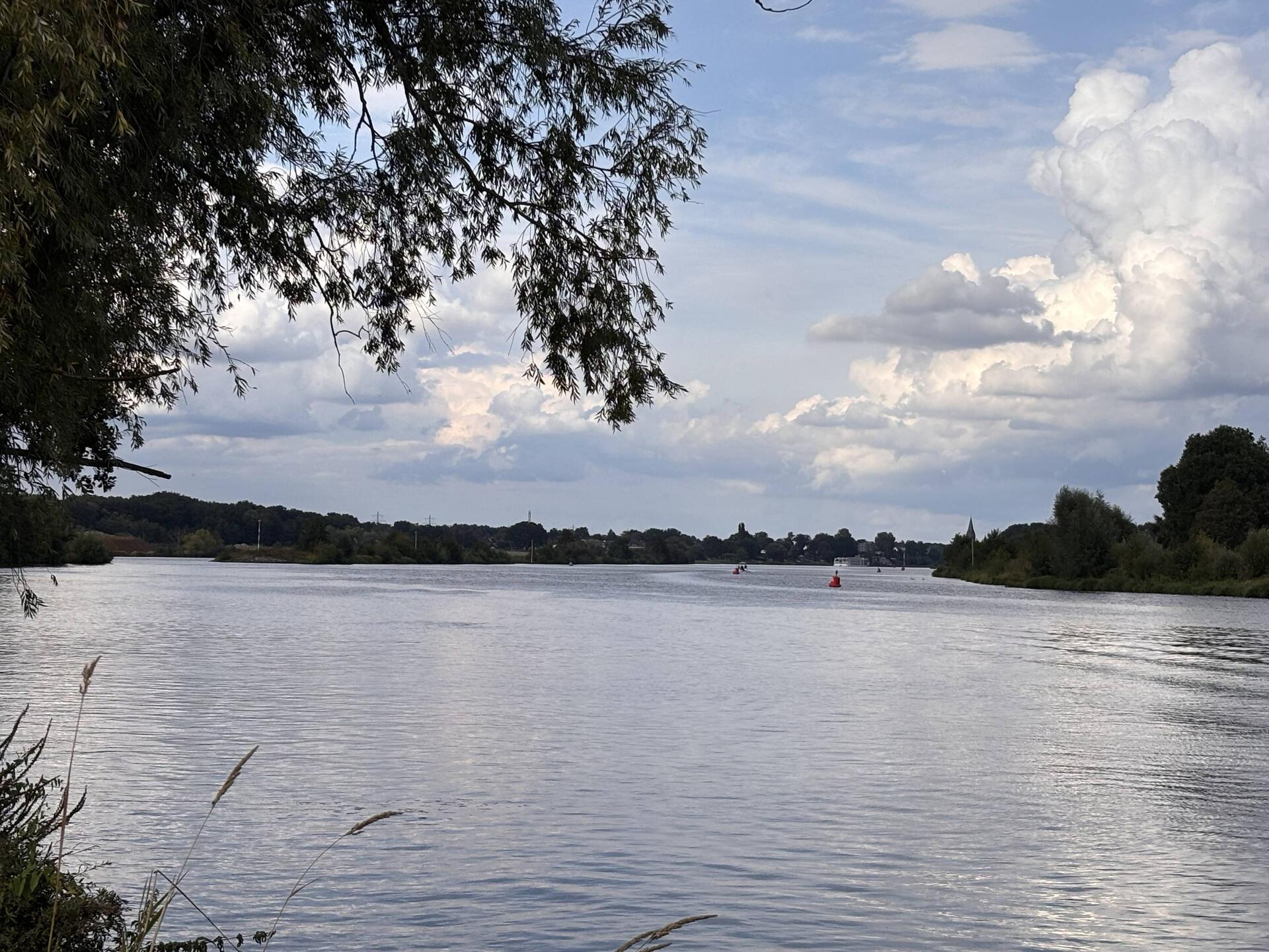 Maasufer in der Nähe vom Stellplatz