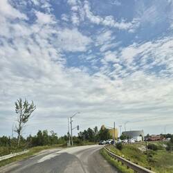 Cars waiting to go on the island.