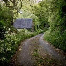 Narrow lanes