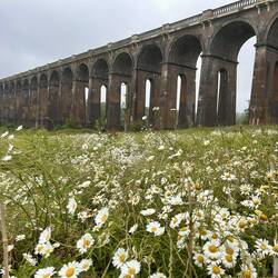 Ouse Valley viaduct