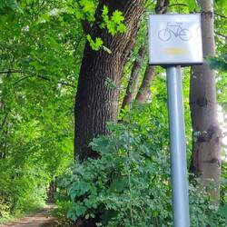 Sehr viel Wald