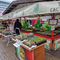 Da wurde Anina wiedereinmal ganz fest an die Hand genommen