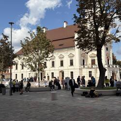 Hochzeitstrubel auf dem Rathausplatz