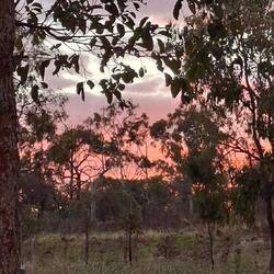 Sunset Porcupine Gorge