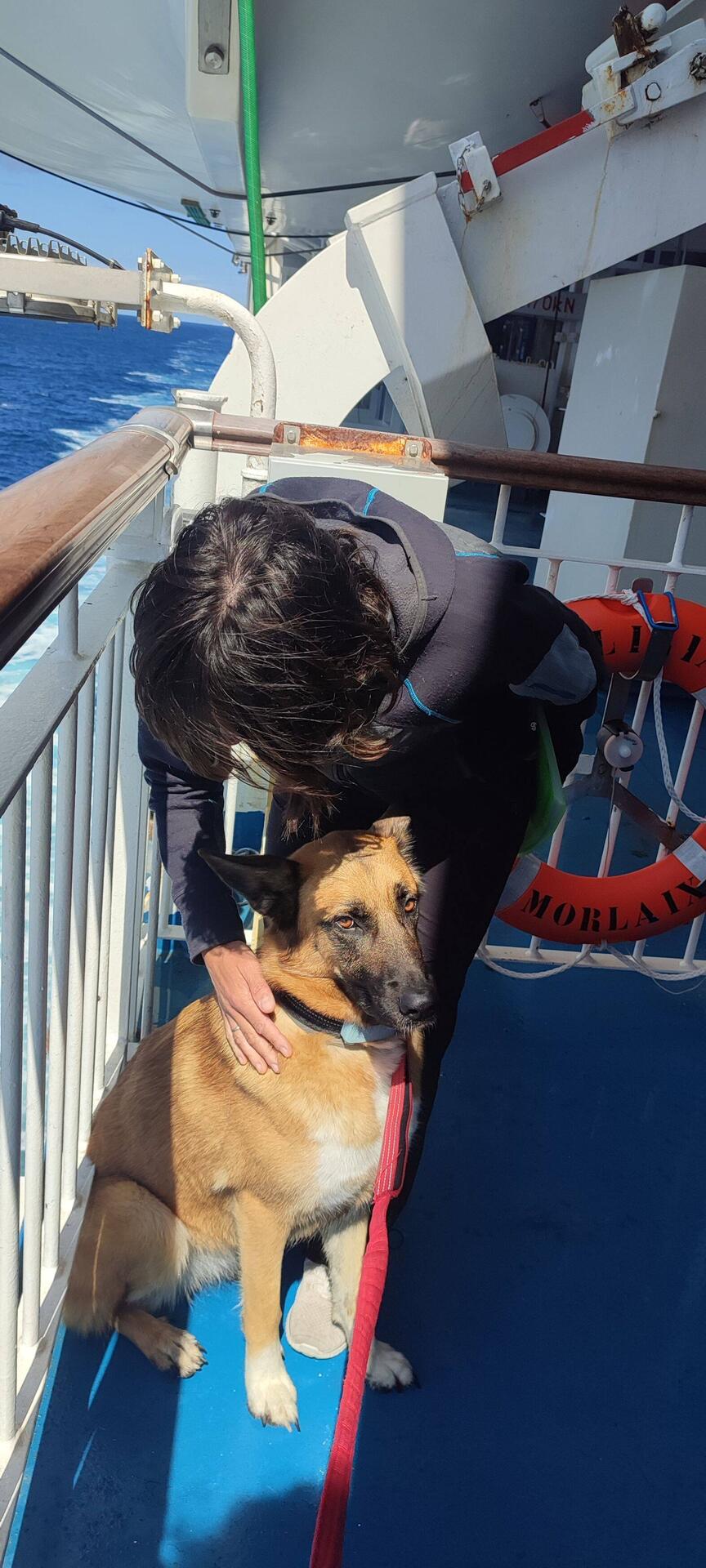 Con la perra al Sol
