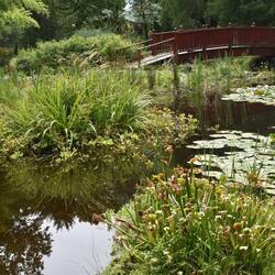 Botanical gardens