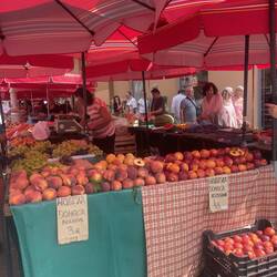 Full of summer produce