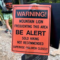Ein Mountain Lion ist übrigens ein Puma.