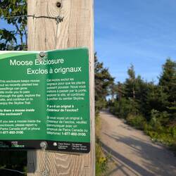 Scientists are running an experiment on letting plants grow without moose around