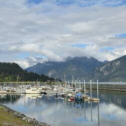 Hafen von Hains