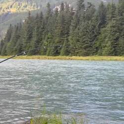 Wieder beim fishing