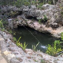 Campground einer Holländerin! Mit Cenote