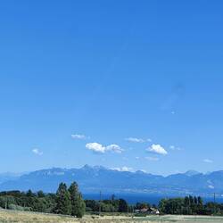 Hello Schweiz, Gilly