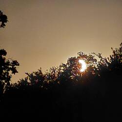 Early sunset