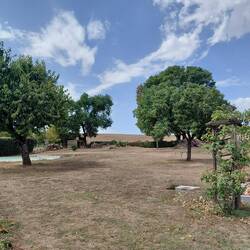 The back lawn is just crisp brown grass