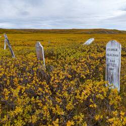 As so often, the cemeteries tell stories. Here mostly 19th-century whalers.