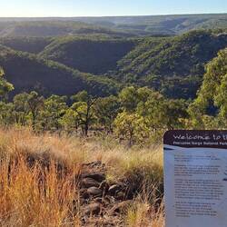The Gorge from up the top